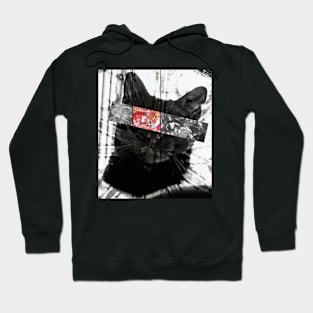 Black Cat Eyes Hoodie